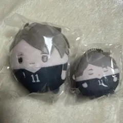 ハイキュー くじメイト ぬいくじ D賞 E賞 ふわコロりん てのりんず 宮治