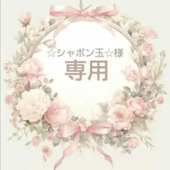 専用★ハンドメイド ノンホールピアス グリーン変更