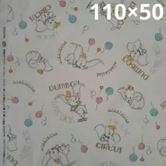 Item thumbnail for item 63c04d53-f286-484b-b75f-35b16415cc64