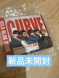 【新品未開封】WILD BLUE CURVE 通常盤