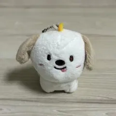 モンリョンイ ぬいぐるみ RIIZE アントン ぬいぐるみ モンリョンイ 公式 - メルカリ