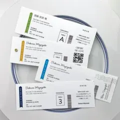 Item thumbnail for item 2a7c9193-fad7-4021-8f54-911af9151c70