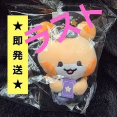 ATEEZ ホンジュンぬいぐるみ　 5cm 新品　公式 2026年最新】ATEEZ ホンジュン ぬいぐるみの人気アイテム - メルカリ