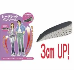 理学療法士監修シークレットインソール身長アップインヒール3cm ×1組 値引可能