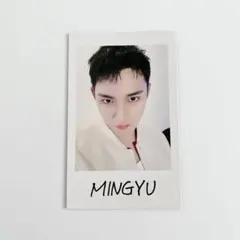 SEVENTEEN ミンギュ Follow Again インスタントフォト