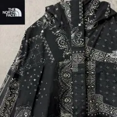 【激レア】ノースフェイス　マウンテンパーカー　ペイズリー　黒　刺繍　完売モデル