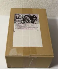 新品未開封 ポケモンセンター トウホクスペシャルbox