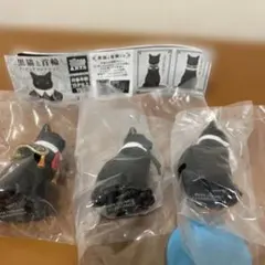 Item thumbnail for item 4e7bb786-e9ca-4aaa-b8eb-791c2a76b4ee