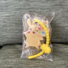 포켓몬 피카츄 아크릴 키 체인 Pokoa 포켓몬