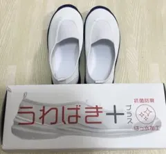 Item thumbnail for item d722b1bf-57b6-455f-88a0-cfc1d3e65d56