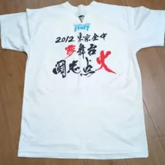 Item thumbnail for item 99bdd2c7-81e3-4e99-af0a-01392d599add