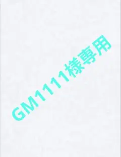 GM1111様 リクエスト 2点 まとめ商品