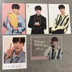 SEVENTEEN ideal cut ドギョムセット