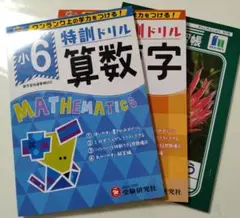 小6 特訓ドリル 漢字 算数 2冊セット 受験研究社+漢字練習ノートのサムネイル