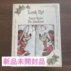 【新品未開封品】ディズニーリゾート2022 クリスマス 今治ミニタオル2枚