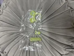 TWICE LOVELYS アクリルカラビナフロッキーマスコット ジョンヨン