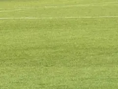 Item thumbnail for item 5d0270a8-7060-45fe-b0c9-79edec6b4c60