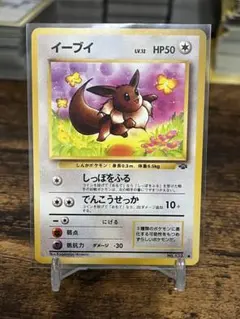 イーブイ ● 第2弾拡張パック ポケモンジャングル　　状態良好