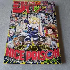 週刊少年ジャンプ 2025年21号のサムネイル