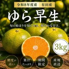 紅てまり 2L 350gと紅きらり 2L 350g セット ◎贈答品にも - メルカリ