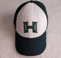 Item thumbnail for item e50958b0-3dfc-41ad-a860-170338ab0a9a