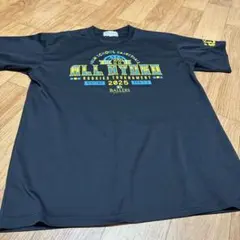 Item thumbnail for item a8cebd27-f2a4-4534-930f-ecccb5af1a7f