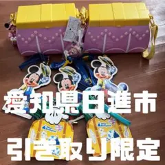 限定 ディズニーバケーションパッケージ ポップコーンバケット チケットホルダー