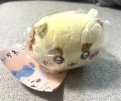 シーサー ねそべりぬいぐるみ - メルカリ