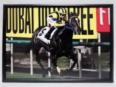 Item thumbnail for item 456a8a3a-7d5c-4e38-aec2-f7fb7691a1e6