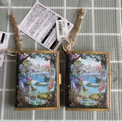 パスケース2個　新品　ディズニーシー　ファンタジースプリングス　コインケース