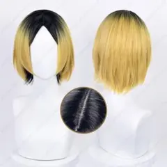 ハイキュー 孤爪研磨 コスプレ ウィッグ けんま