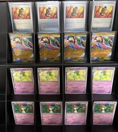 メガエルレイドex 進化ライン　パワープロテイン　各4枚セット