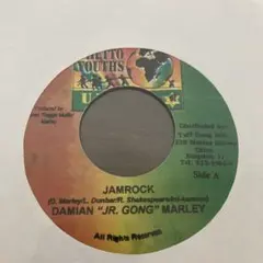 2026年最新】damian marley レコードの人気アイテム - メルカリ