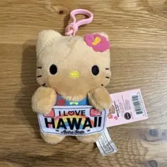 日焼けキティ　ハワイ　ABCストア