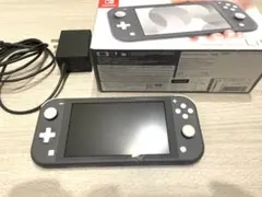 Nintendo Switch Lite グレー本体ACアダプターSDカード付き