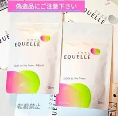 大塚製薬 エクエル パウチ エクオール含有食品 2袋セット 正規品のサムネイル