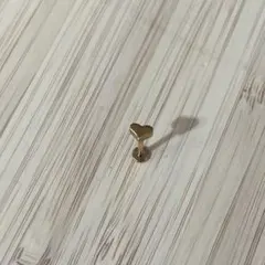 Item thumbnail for item abfff6b1-4e4c-443e-8923-7040ca58c392