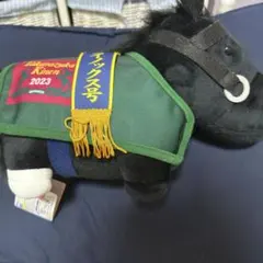 Item thumbnail for item 04708ec0-0ac8-4c8a-a828-0d57ad4d3593