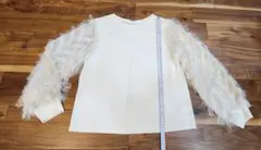 Item thumbnail for item 8804b4b2-2a89-47dc-89a7-d912cff9f9e5