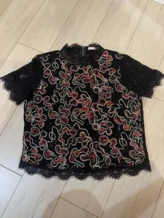 ZARA 半袖　シースルー