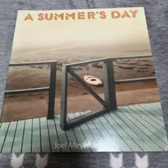 Joel Meyerowitz A SUMMER'S DAY
