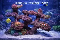 人工ライブロック BG20 35×26×24 アク抜き済み安心塗料使用 人工ライブロック BG20 35×26×24 アク抜き済み安心塗料使用 - メルカリ