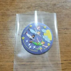 ディズニー刺繍缶バッジ　ピーターパン