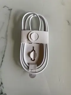 Apple純正品 未使用 USB-C充電ケーブル ホワイト