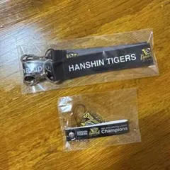 Item thumbnail for item b404c6d2-94a2-4faf-89ce-aafa6d2752e7