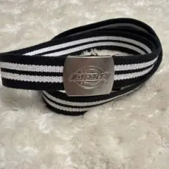 Dickiesのサムネイル