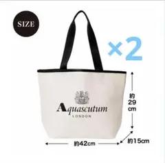 オトナミューズ 2025年3月号付録 アクアスキュータム