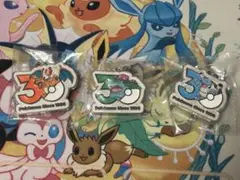 ポケモン メタルチャーム リザードン フシギバナ カメックス