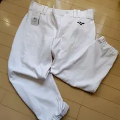 Item thumbnail for item 486e730b-d4c6-47f5-8105-da0b4b9e47fe