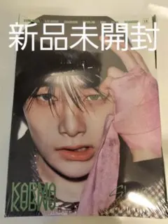 straykids KARMA 新品未開封 アコーディオン盤 アイエン